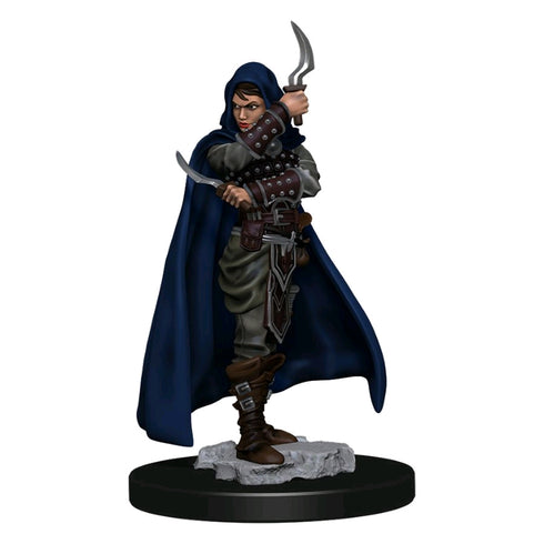 Pathfinder Battles: Premium Miniatures Wave 1: Human Female Rogue